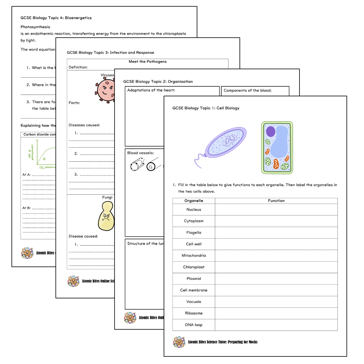 Biology WorkBooks – Paper 1